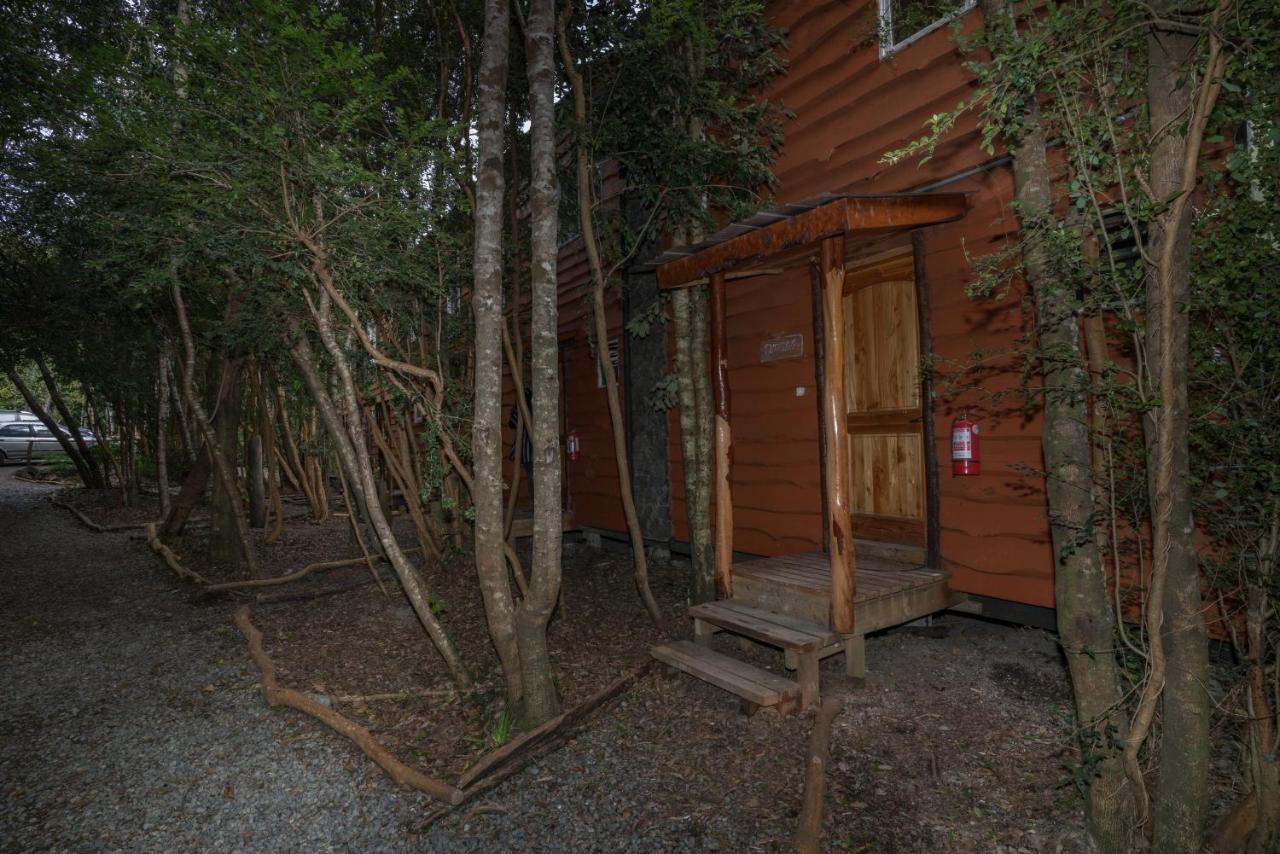 Cabanas Ensenada Bosque Nativo Exterior foto